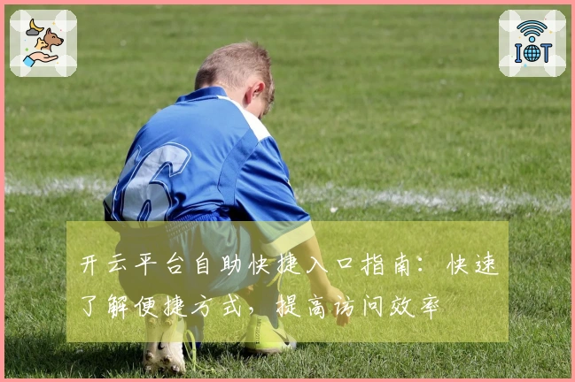 开云平台自助快捷入口指南：快速了解便捷方式，提高访问效率