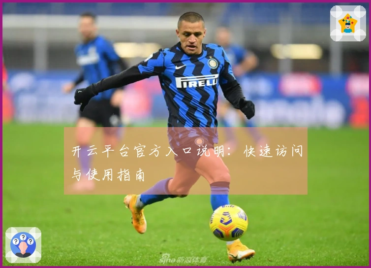 开云平台官方入口说明：快速访问与使用指南